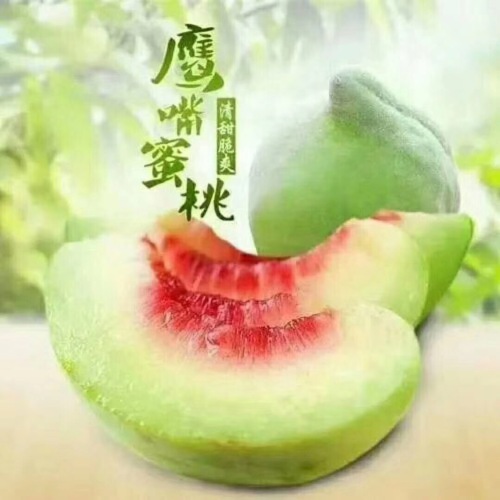 {{謝~權(quán)}}七月在《中國(guó)鷹嘴蜜桃之鄉(xiāng)》廣東連平等您