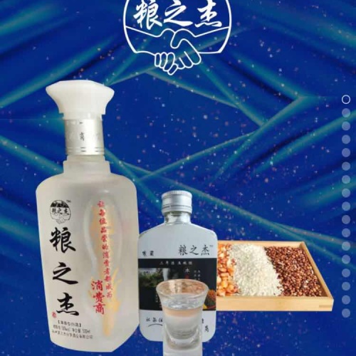 梁之杰招商項(xiàng)目書