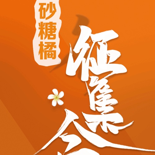 砂糖橘征集令