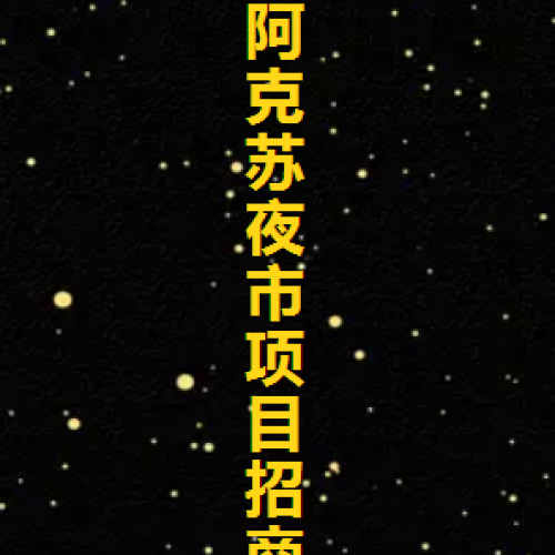 阿克蘇夜市項目招商