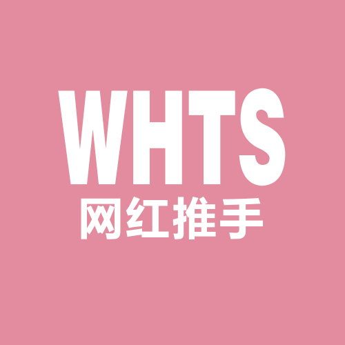网红推手短视频社交电商平台