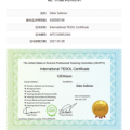 Tesol国际英语教师资格证书