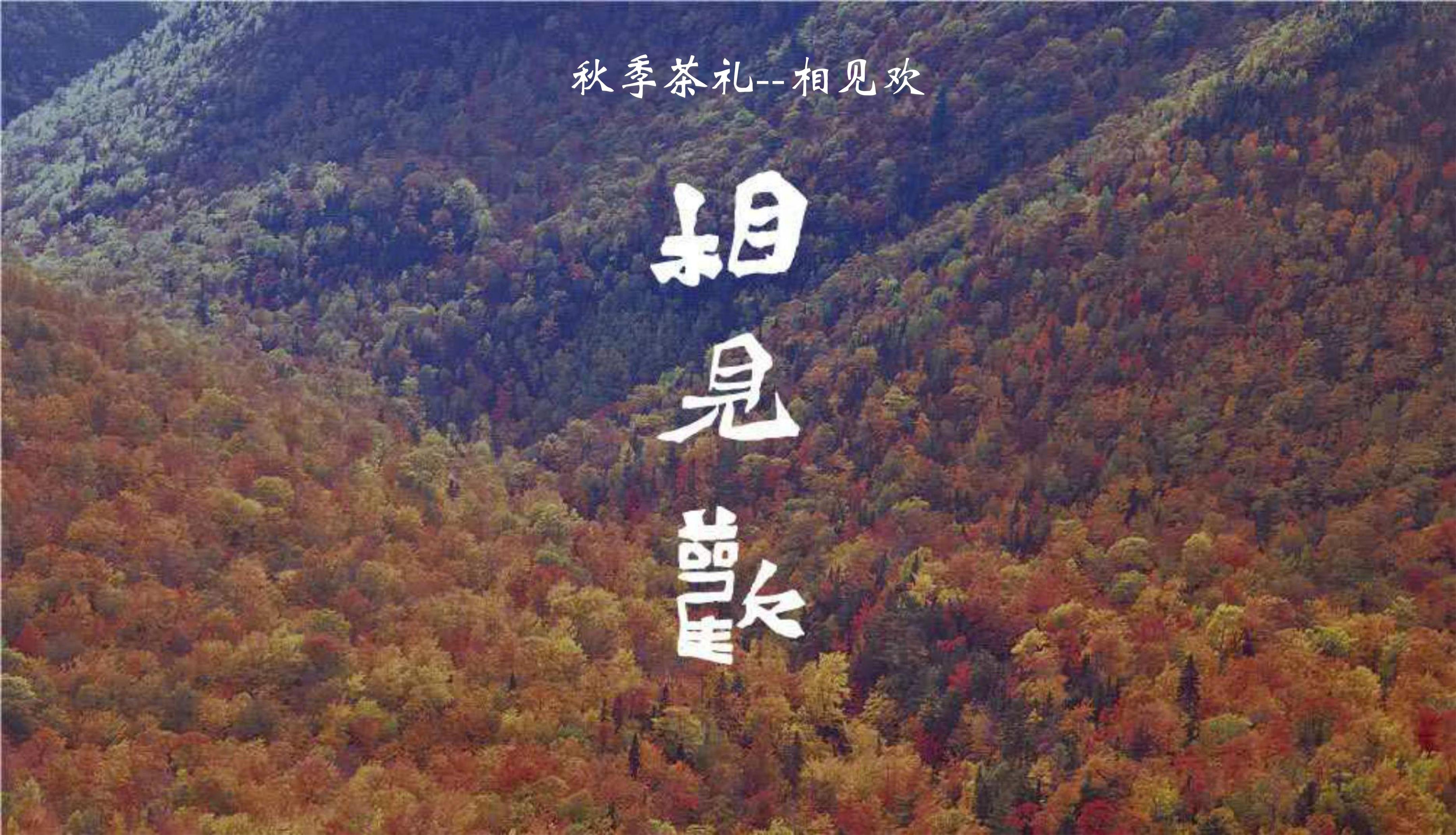 金茶方秋季平衡茶方--相見歡