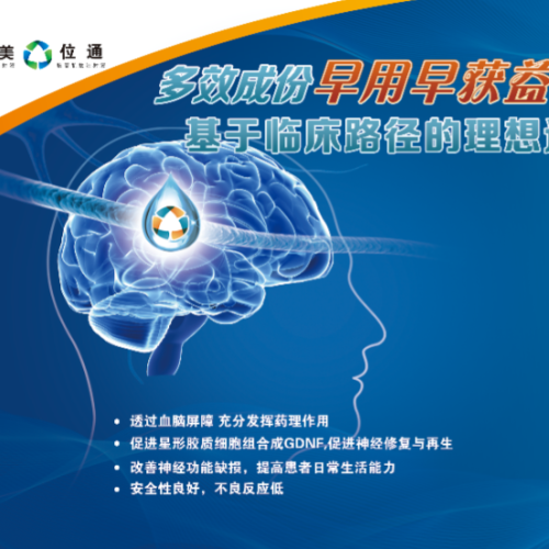 基于临床路径看脑苷肌肽的临床优选 国家版