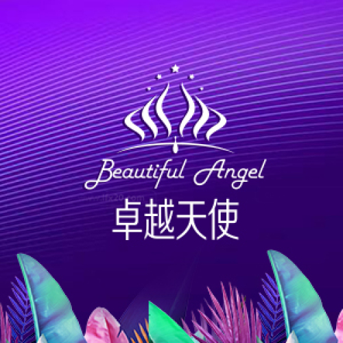 卓越天使醫(yī)療美容