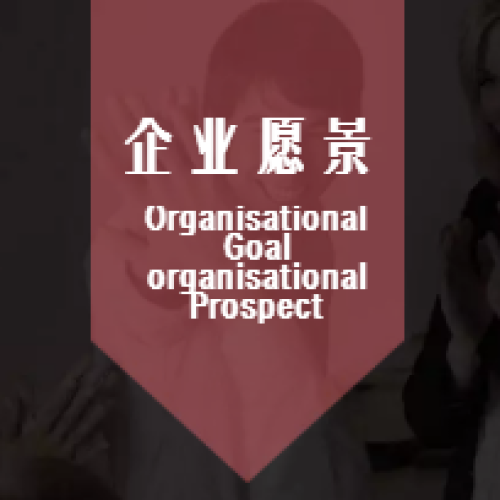 企業(yè)愿景