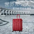 愛華仕箱包