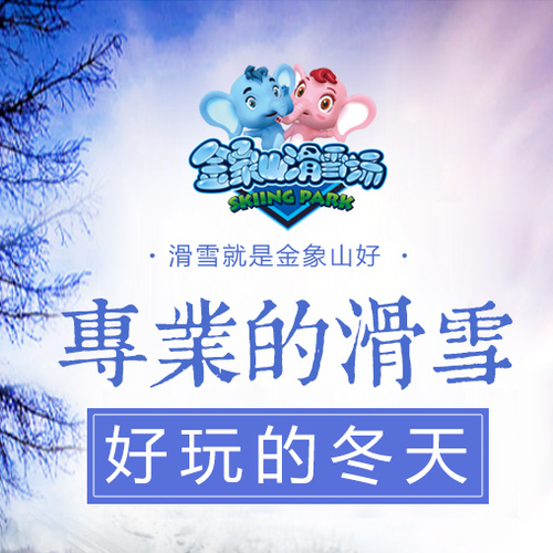 专业的滑雪 好玩的冬天