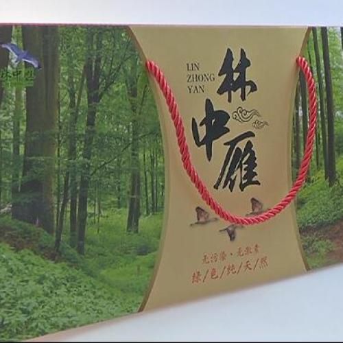 到清河必吃的特色美食“鐵鍋燉大雁”
