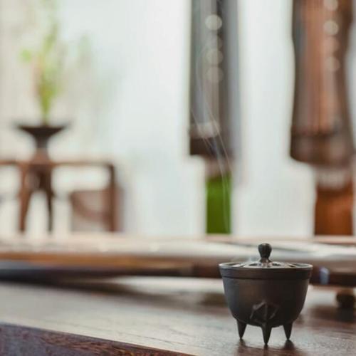 石之語“玉與中國傳統(tǒng)文化系列”--古琴賞鑒活