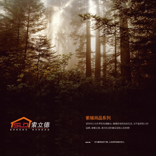 选家居就来索立德
