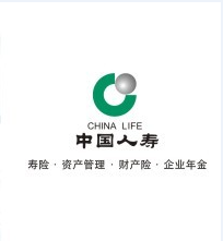 中国人寿财险 E家保燃气综合保险