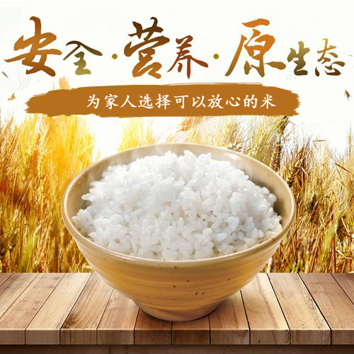老家表哥自家五常稻花香米