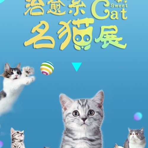 喵喵派