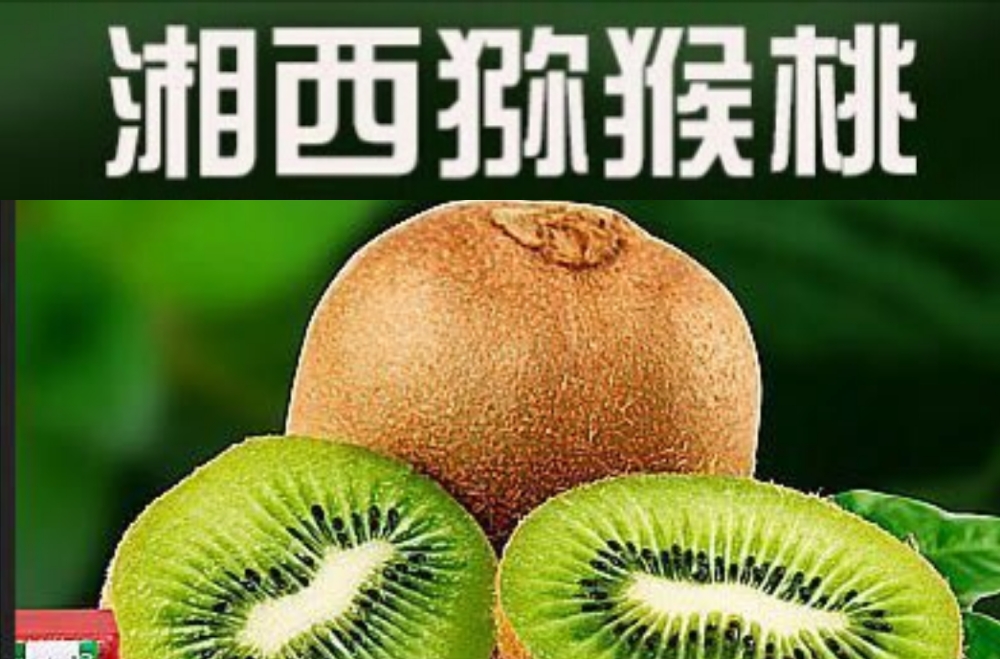 猕猴桃主产区农技、电商培训班