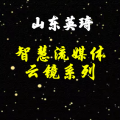 山東英琦流媒體后視鏡