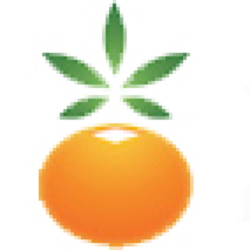 吉林省農村信用社直銷銀行上線