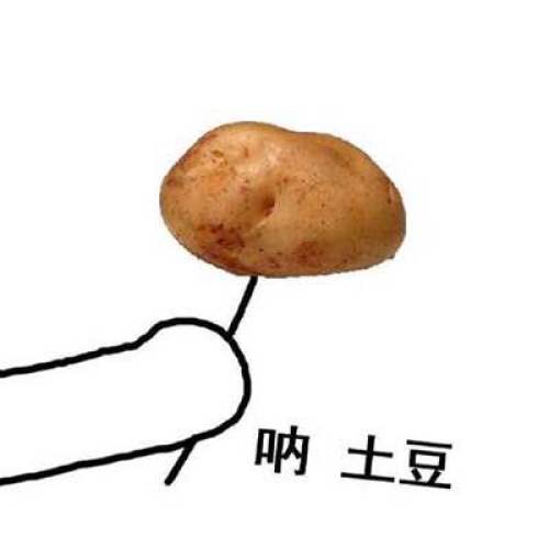 古浪縣農(nóng)民豐收節(jié)——電商助力農(nóng)民增收