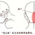 聚能生物