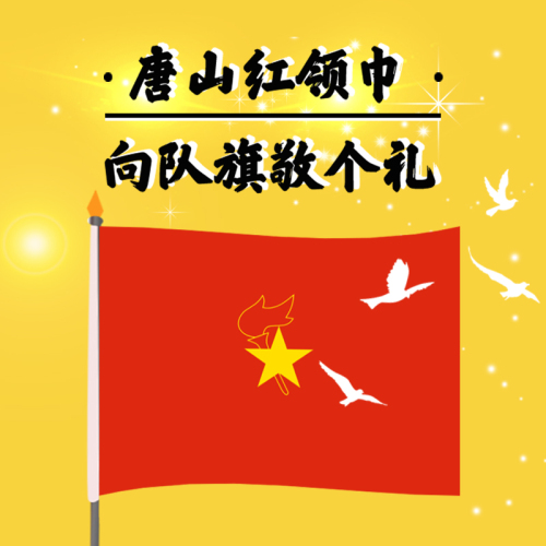 我是第{{count}}位向隊(duì)旗敬禮的少先隊(duì)員！