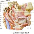 三叉神經(jīng)痛怎么治療