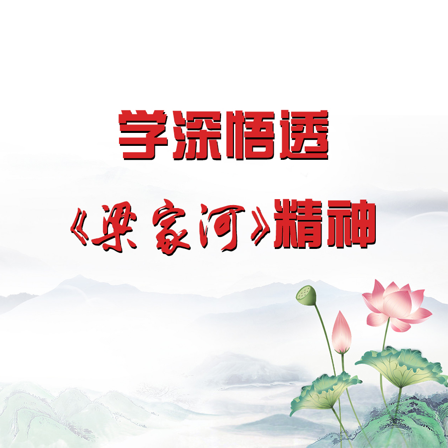 学深悟透梁家河精神