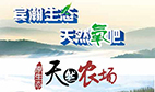 端午節！