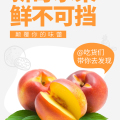 新奇水果，鮮不可擋！