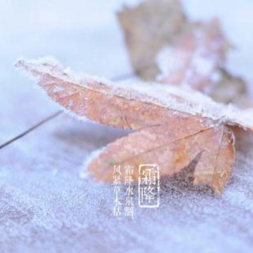 霜降