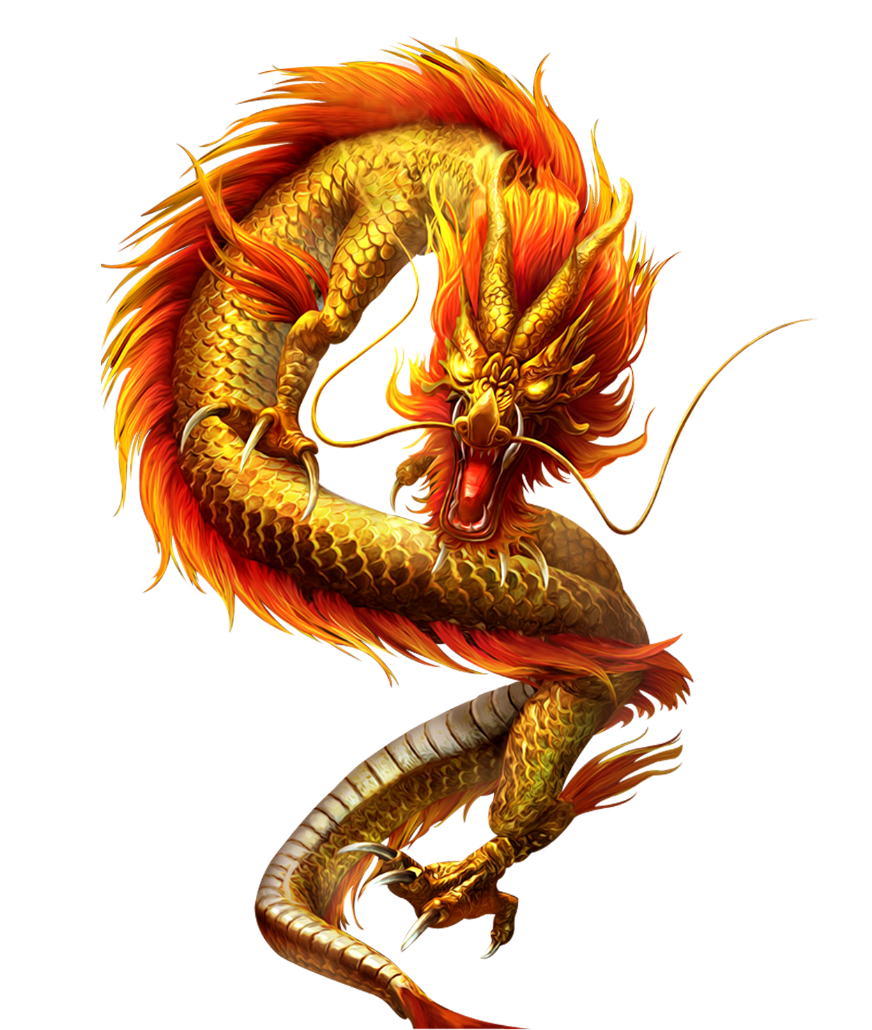 云南领弈教育——单招培训