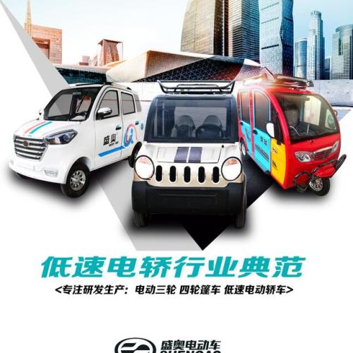 山東盛奧高端電轎宣傳冊