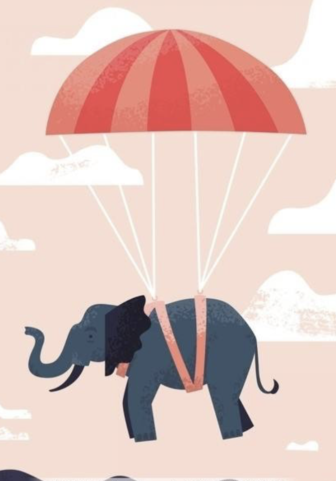 飞象创始人训练营