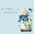 尋一方庭院，過向往的生活