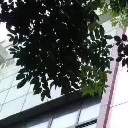 雕刻時(shí)光全景家裝體驗(yàn)中心