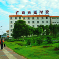 广西商业学校招生模板（教育/培训）