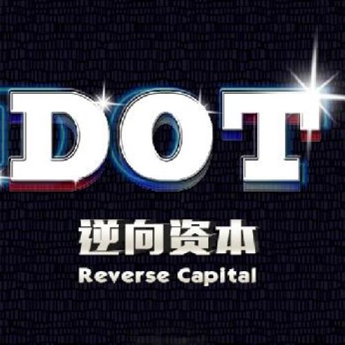 DOT逆向資本操作流程