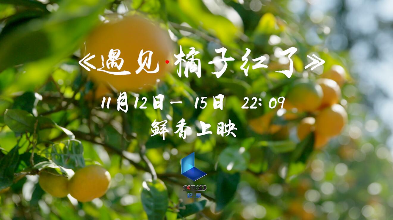 《遇见-橘子红了》鲜香上映