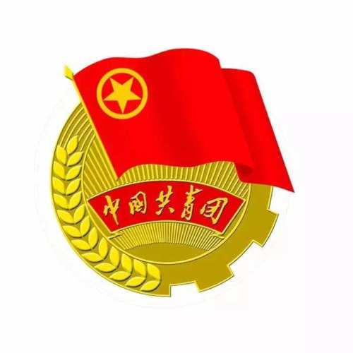 團(tuán)章修正 帶你解讀