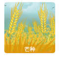 芒種傳統(tǒng)美食