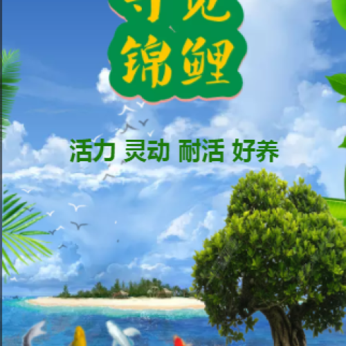 尋覓錦鯉