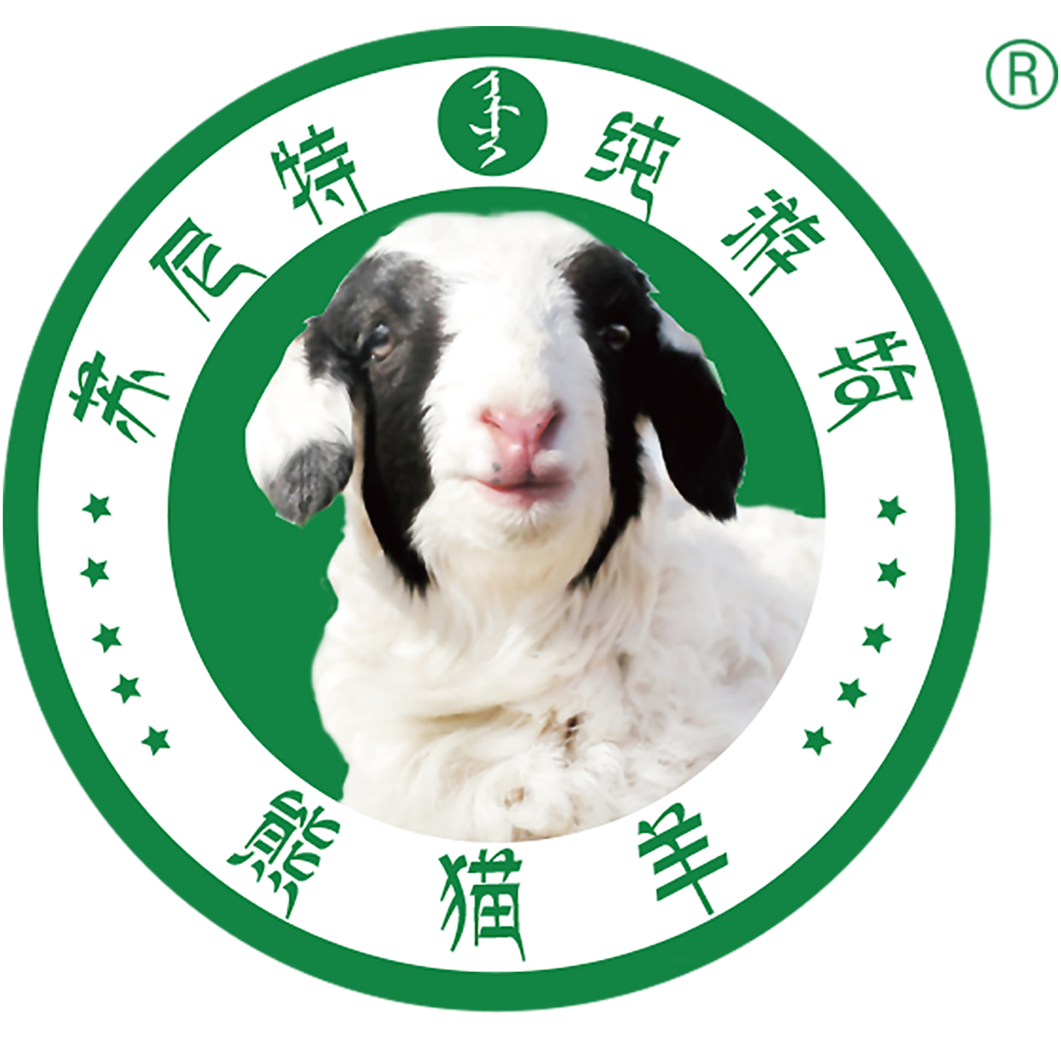 加目奇云牧场苏尼特熊猫羊品牌升级发布会