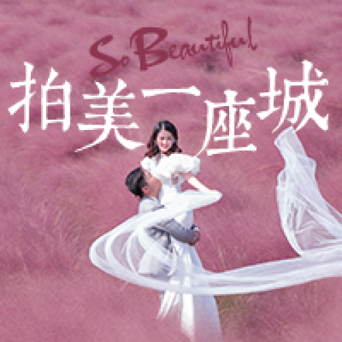 2018網紅打卡圣地-《粉黛莊園》