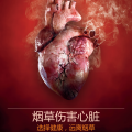 2018年世界无烟日”远离烟草，不再伤‘心’“展板