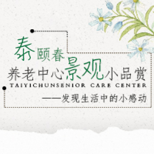 泰頤春養(yǎng)老中心景觀小品賞