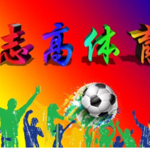 志高體育文化項目簡介