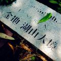 這里的風(fēng)景這么美！還免費吃自助燒烤??！