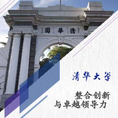整合創新與卓越領導力