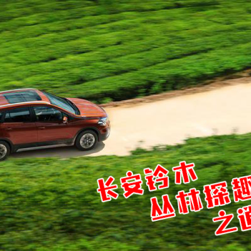 長(zhǎng)安鈴木叢林探趣之逍遙湖