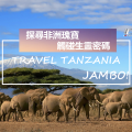 探尋非洲瑰寶——匯動非洲之旅