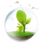 制氧机 | 家有老人必备，孝心儿女更省心！